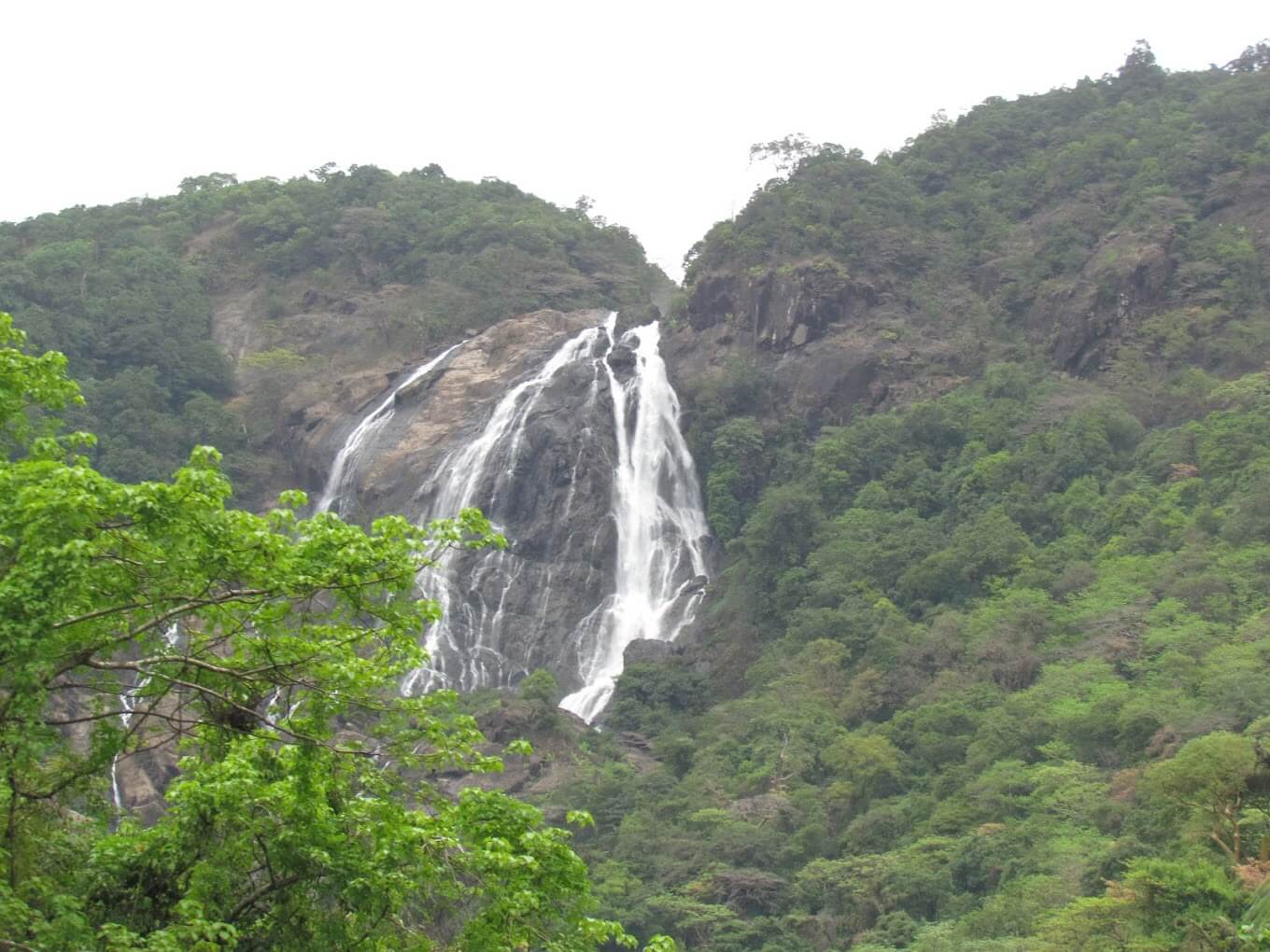 Amazing Goa
