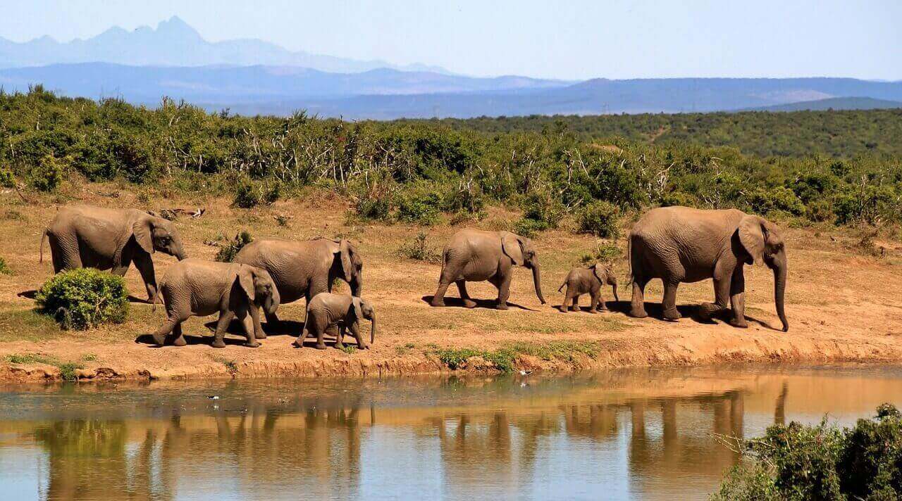 Bandipur_National_Park_Adventure.jpg