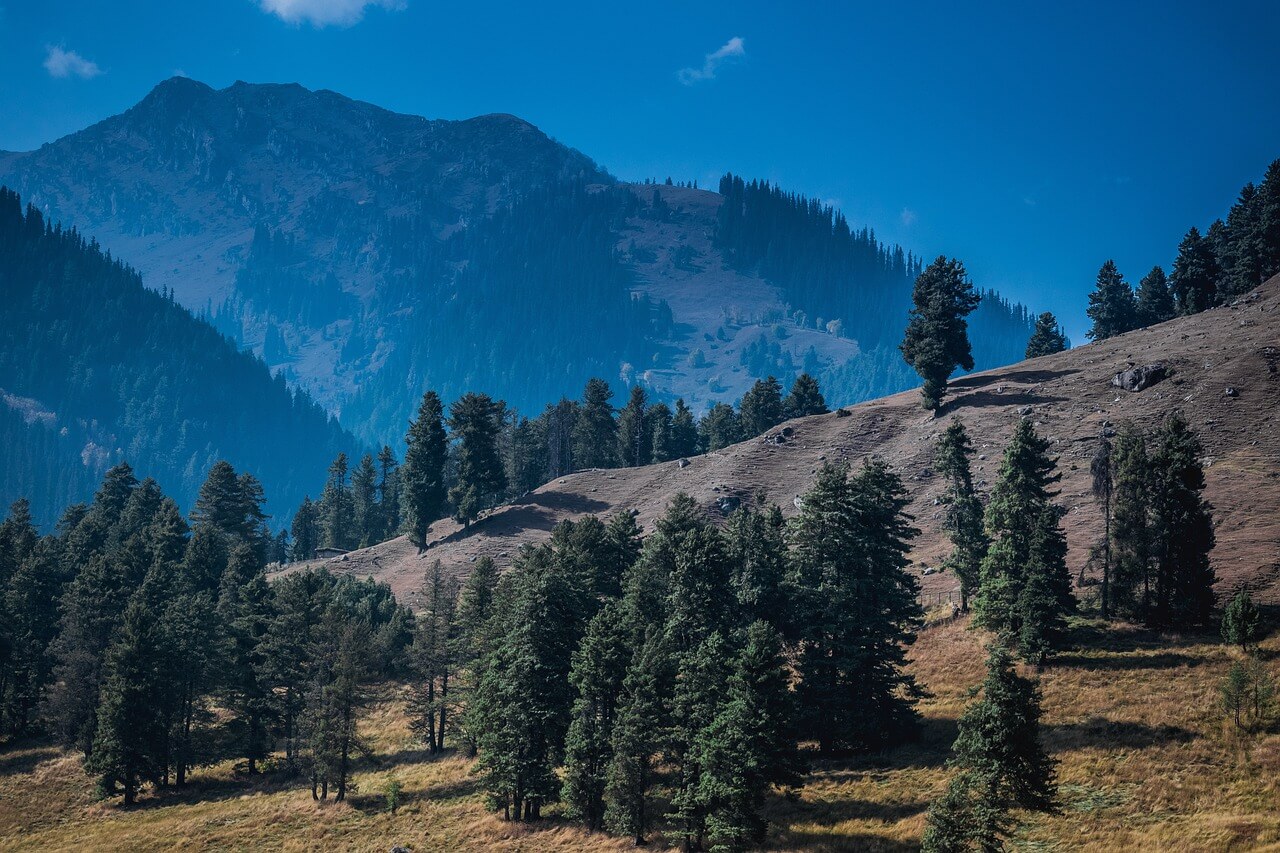 Charming_Srinagar.jpg