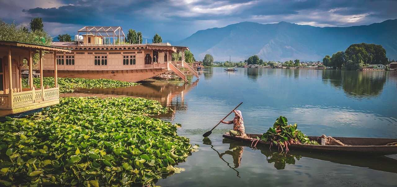 Delightful_Kashmir.jpg