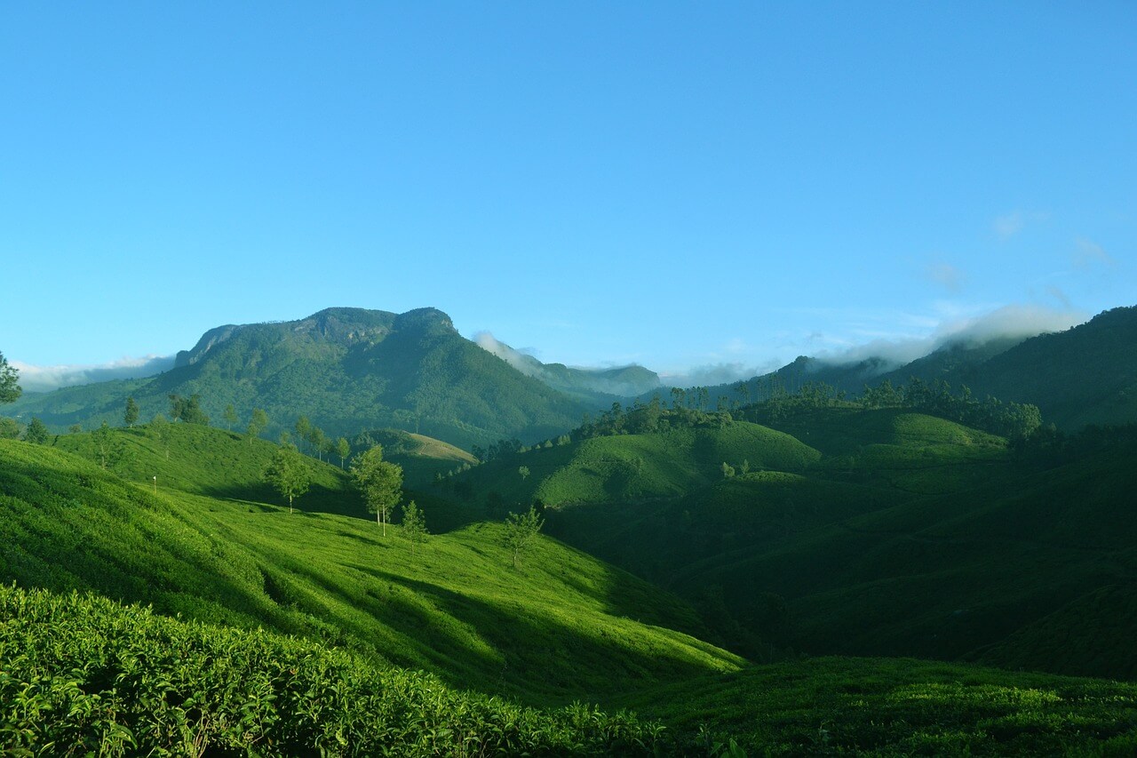 Enchanting_Backwaters_Bliss_A_Kerala_Retreat.jpg