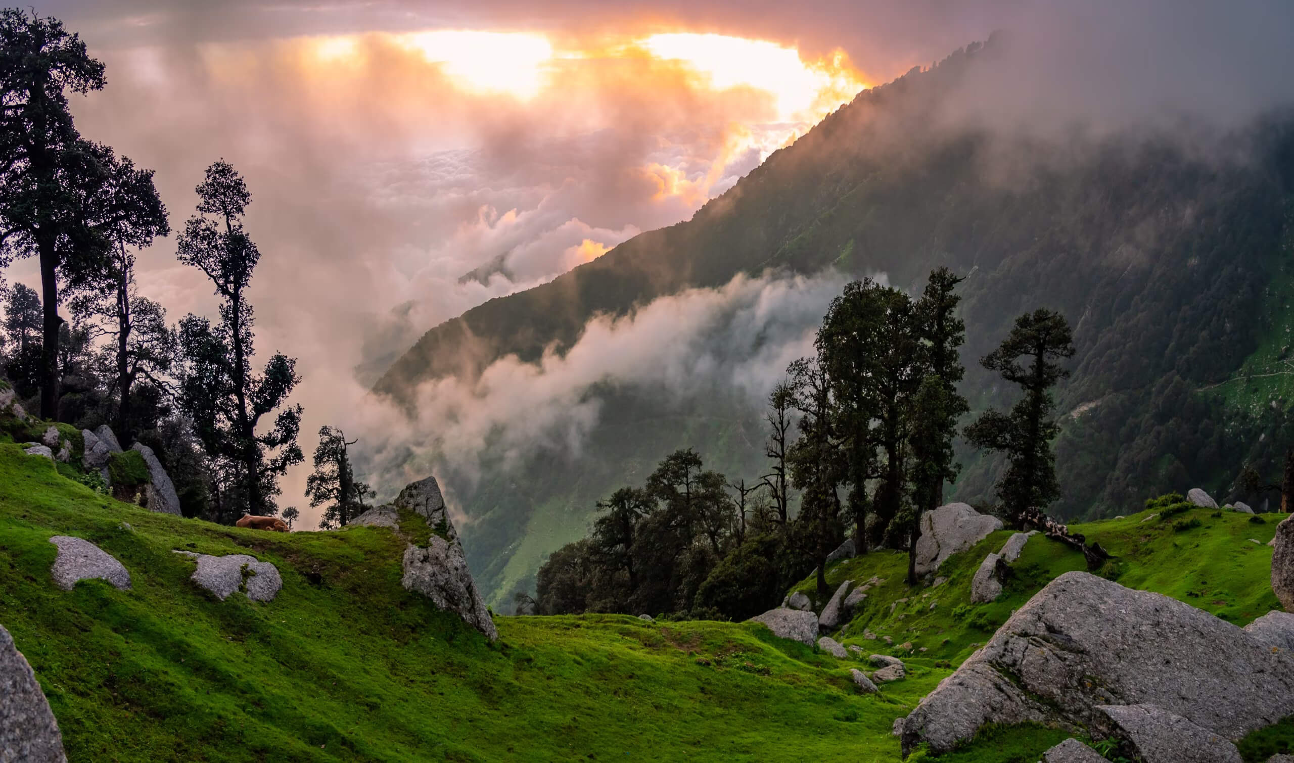 Himachal_Pradesh_with_Amritsar.jpg