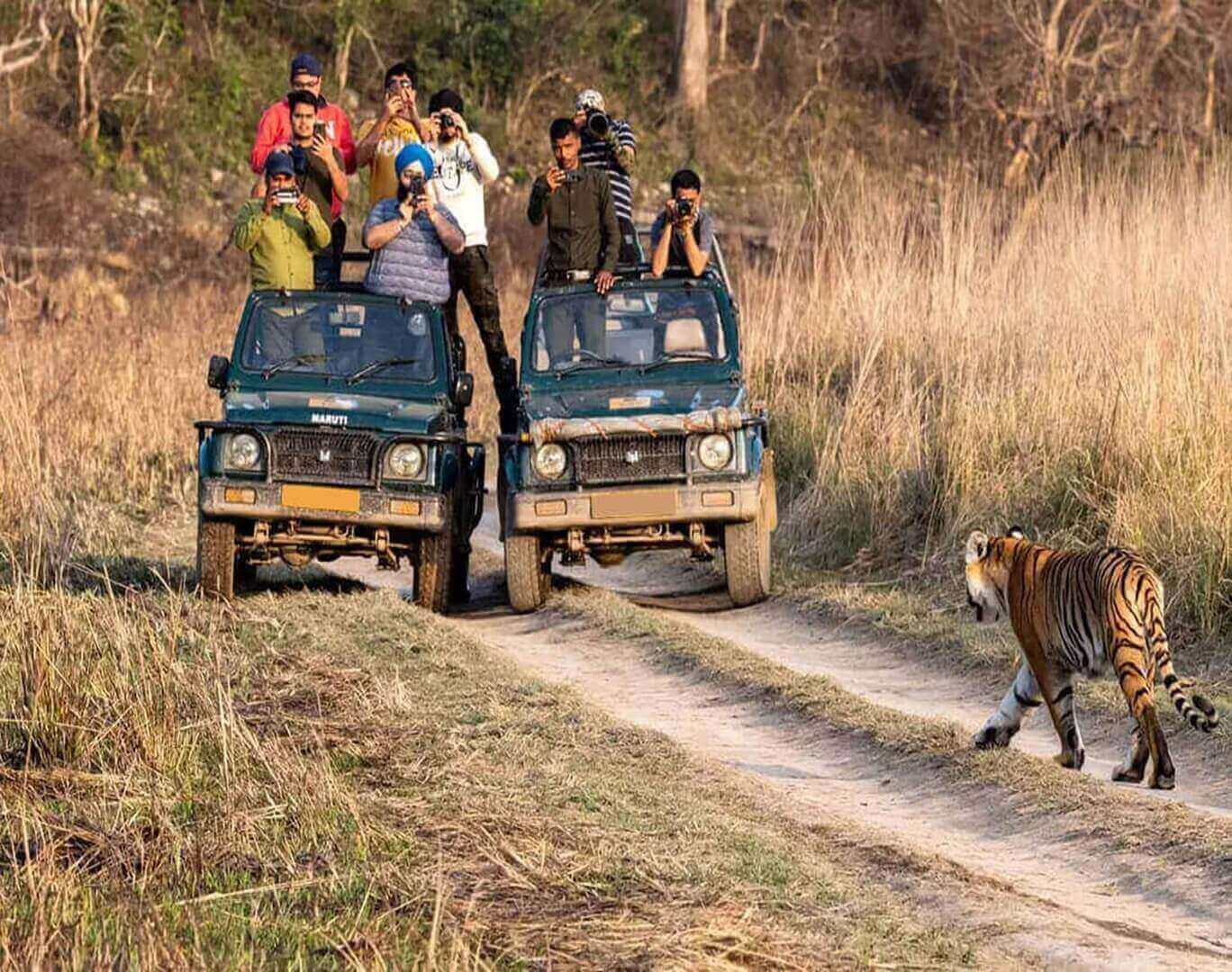 Jaipur_and_Ranthambore_Wildlife_Adventure.jpeg
