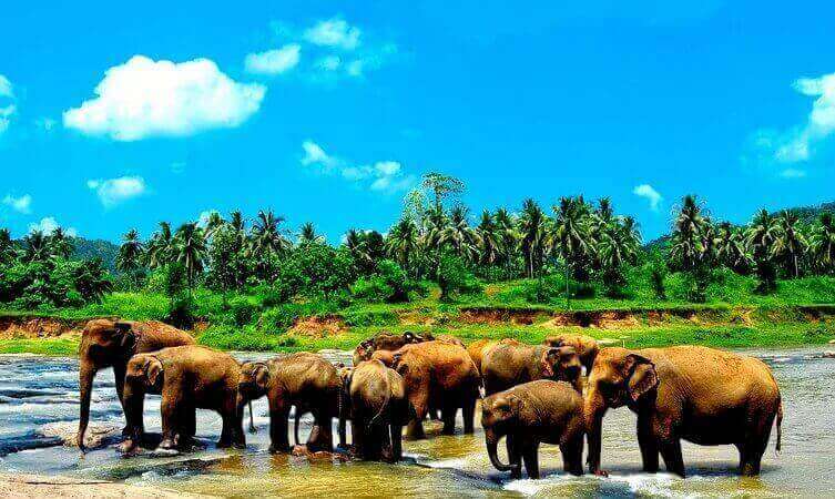 Sapphire_Shores_Sri_Lanka_Exploration.jpg
