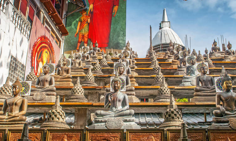 Sri_Lanka_Sojourn_A_Journey_of_Heritage_and_Nature.jpg