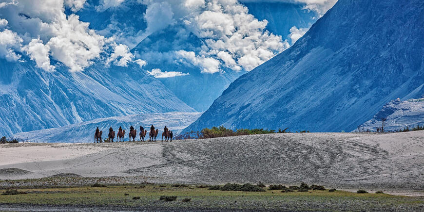 Valley_Of_Flowers_Ladakh.jpg