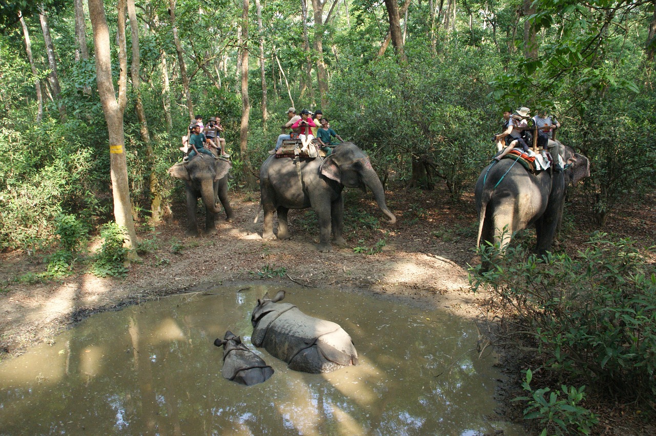 Wonderful_Kathmandu_Chitwan.jpg