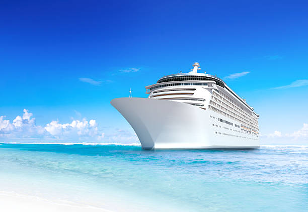 Cruise